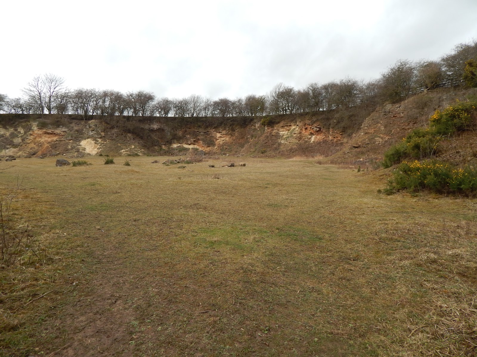 Trimdon Grange Quarry Nature Reserve