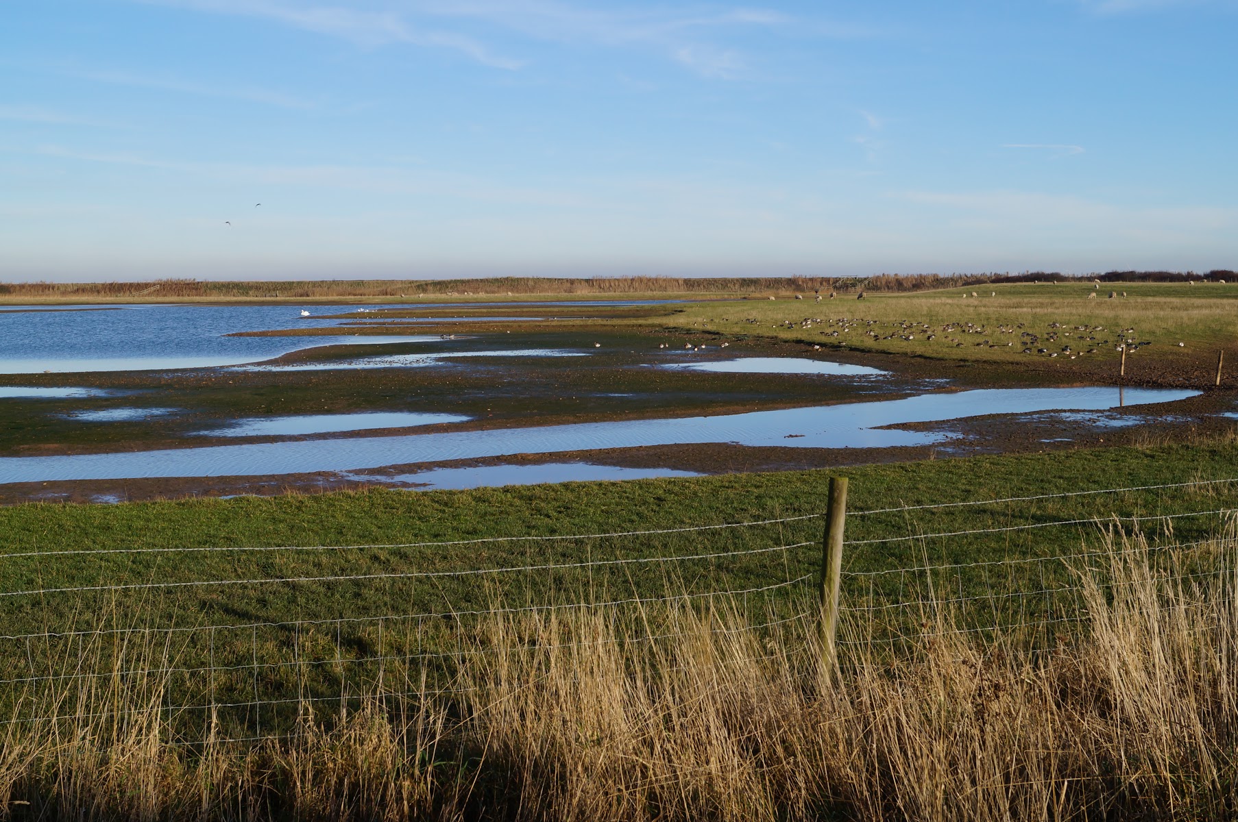 Kilnsea Wetlands