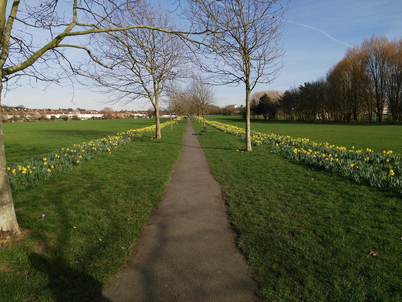 Norbury Park