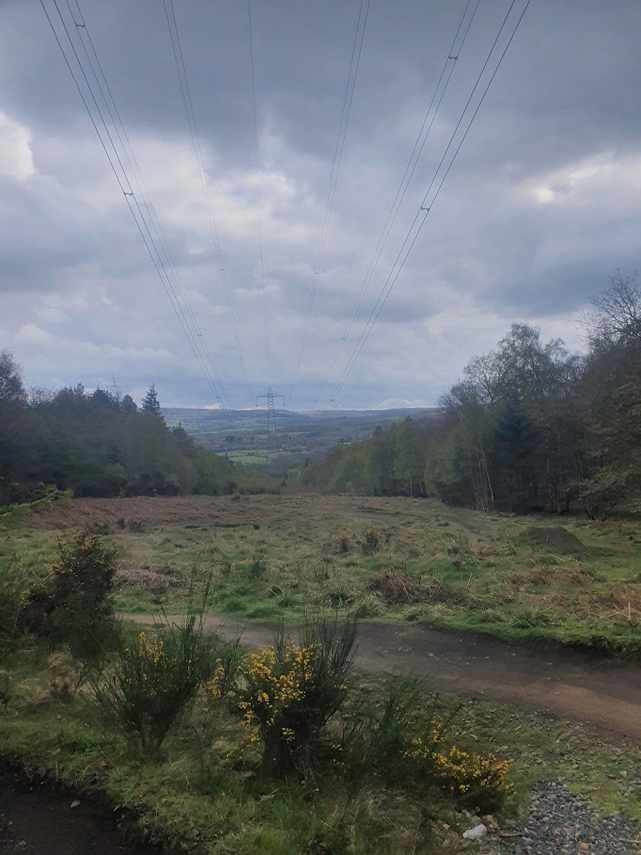 Chopwell Wood, Red Trail