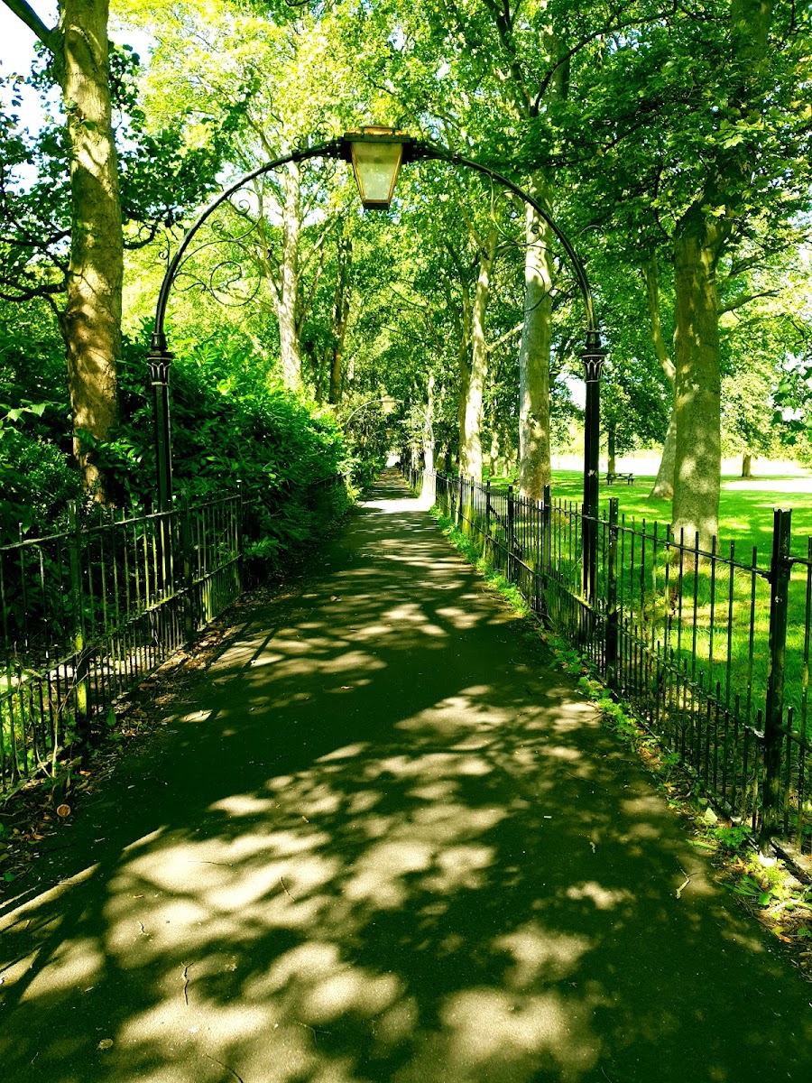The Bike Garden