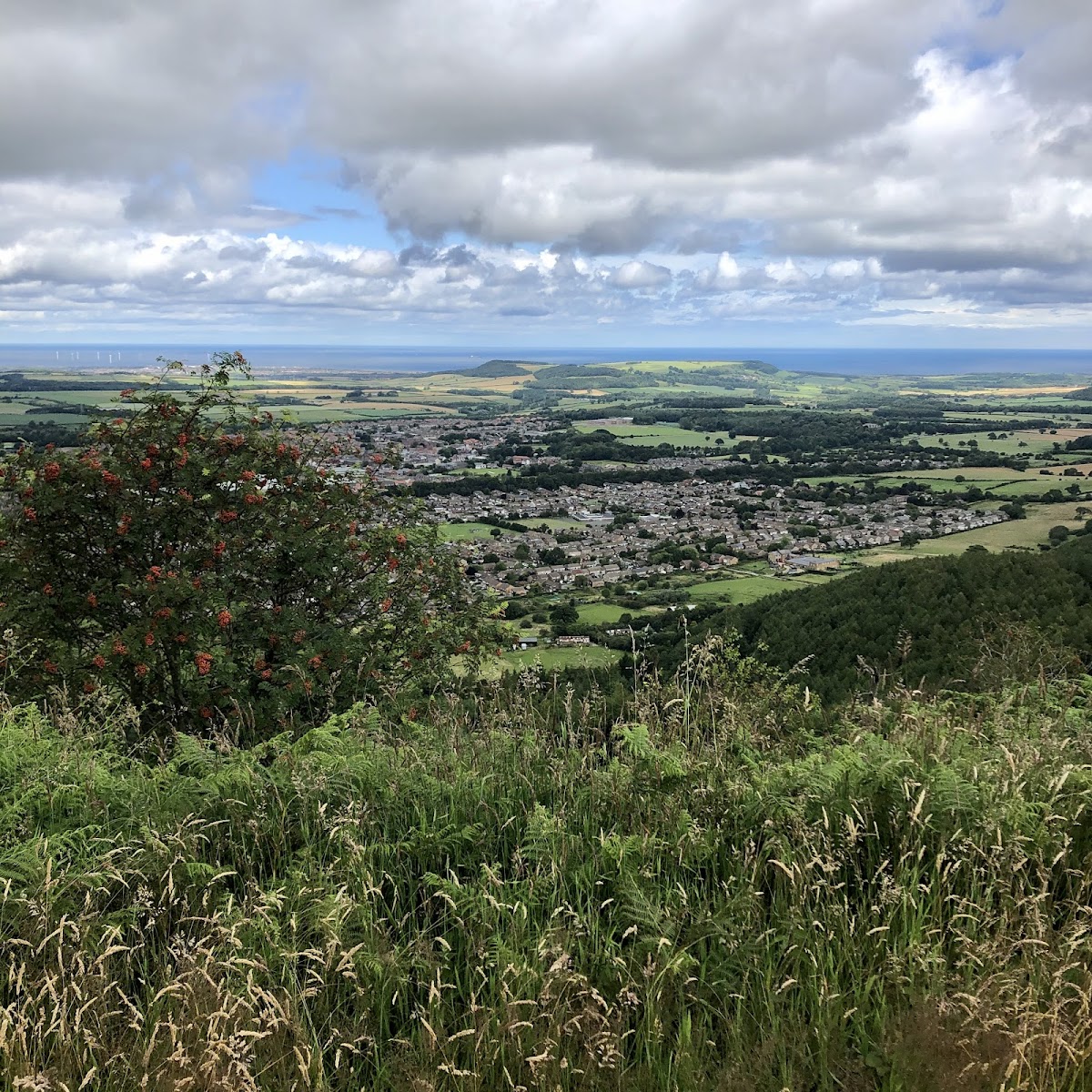 Highcliff