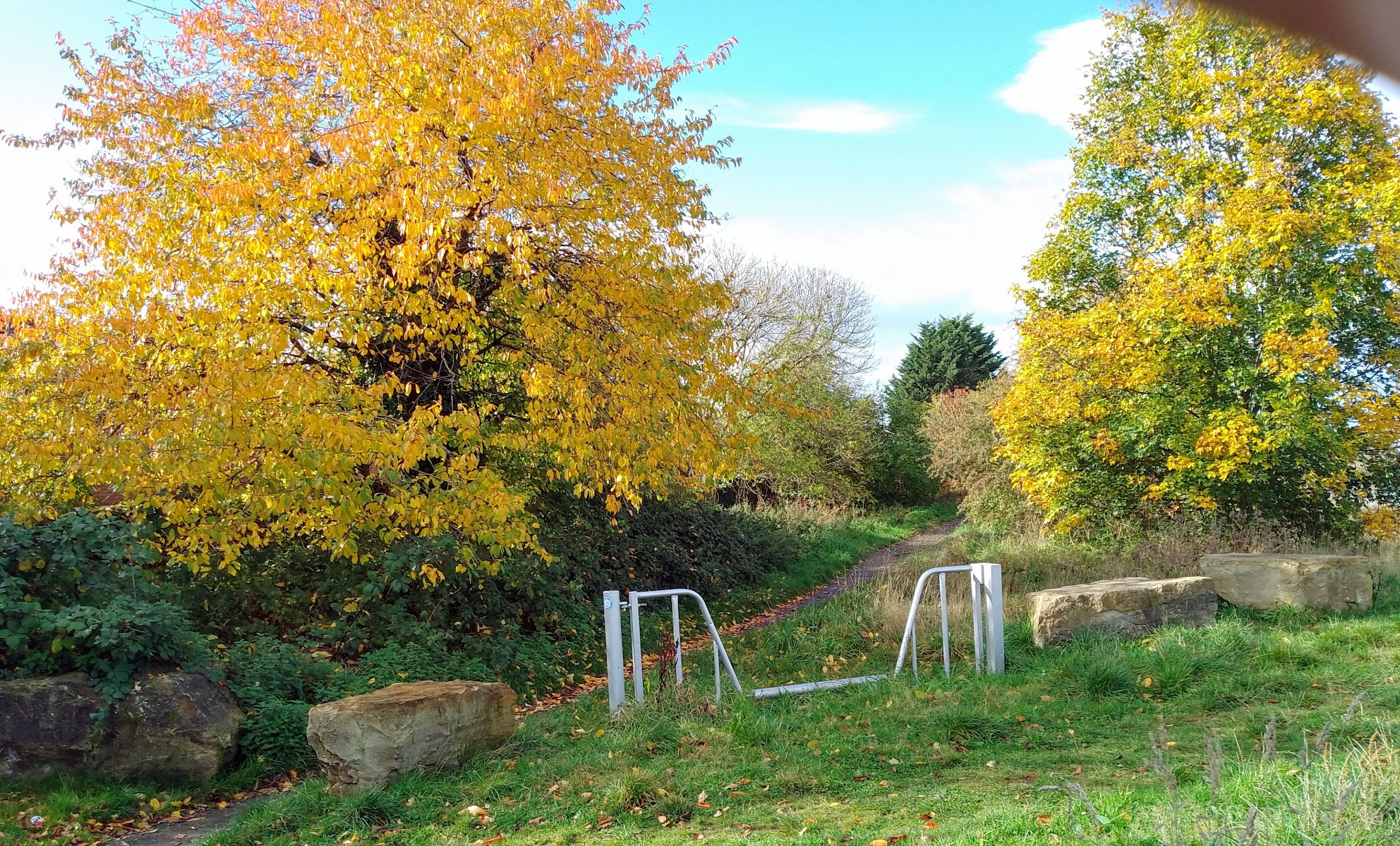 Darlington cycle path