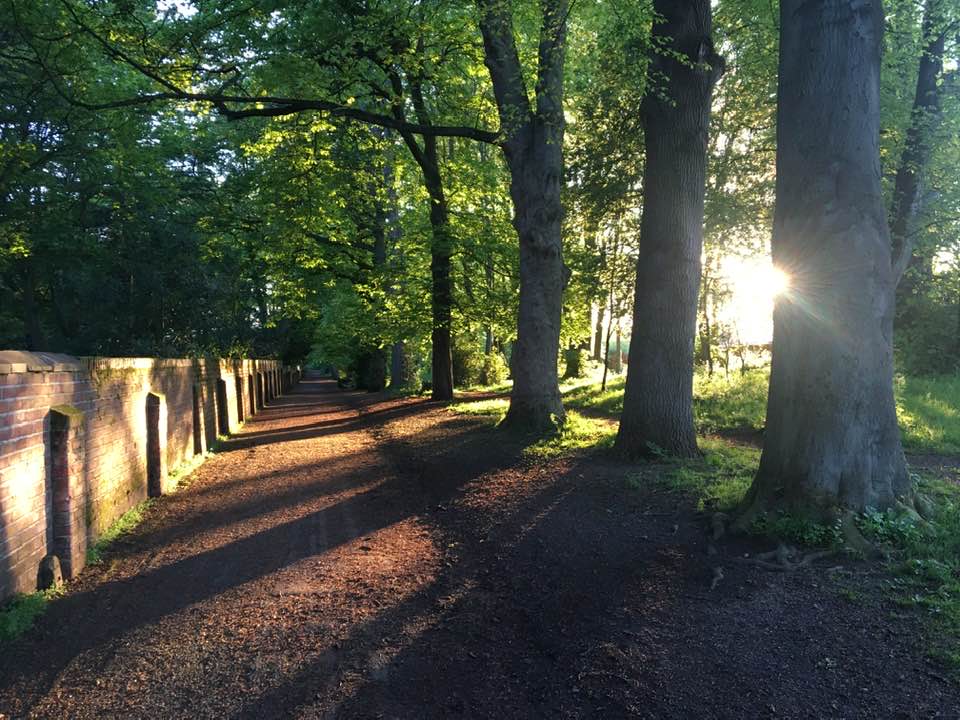 Cemetery Lane