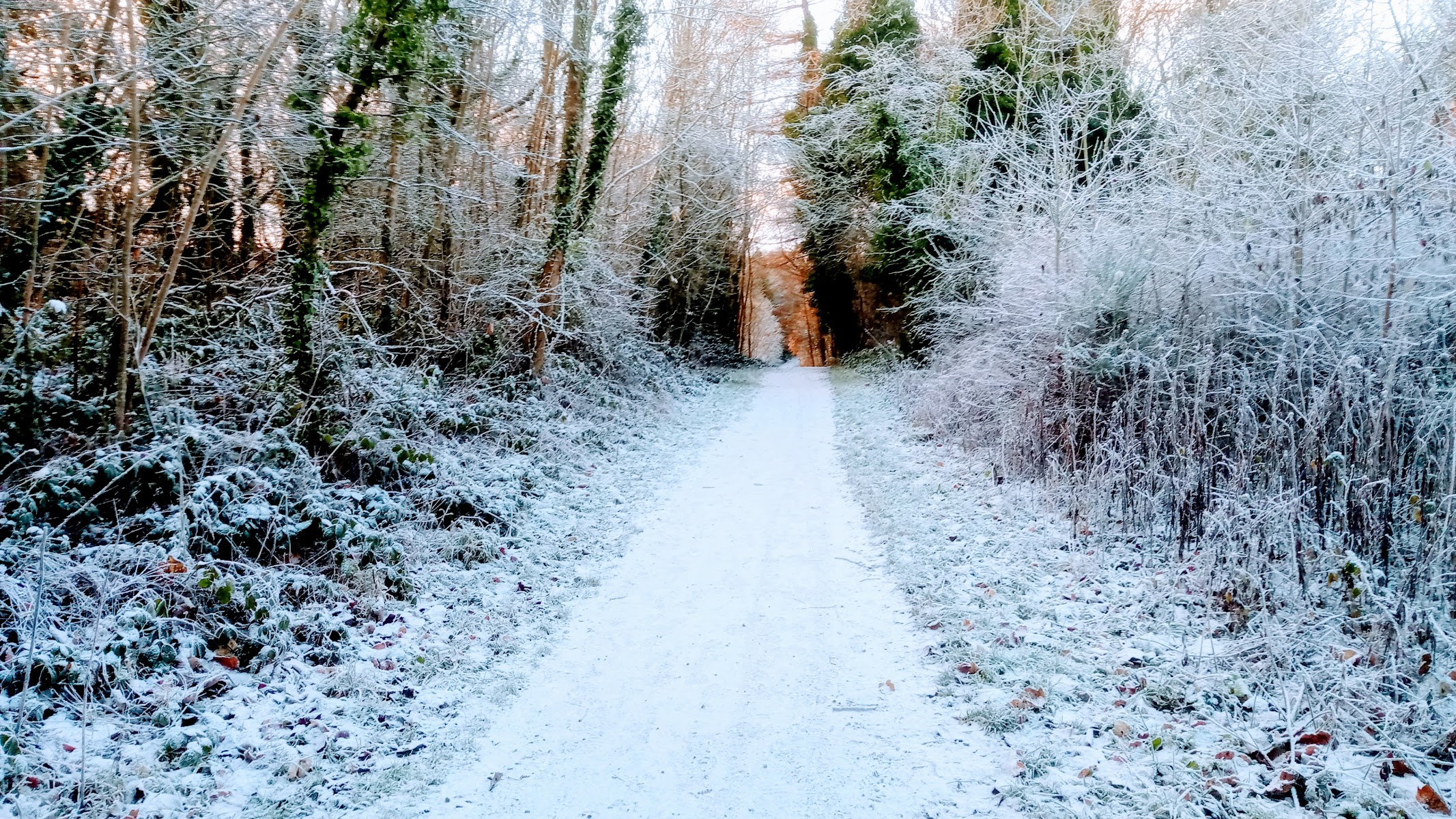 Deerness Railway Path