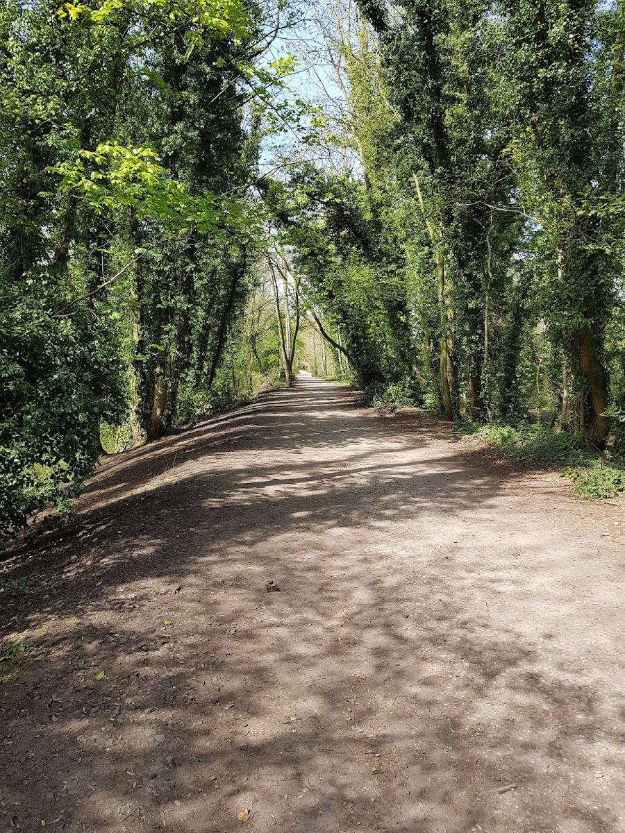 Wirral Circular Trail Willaston