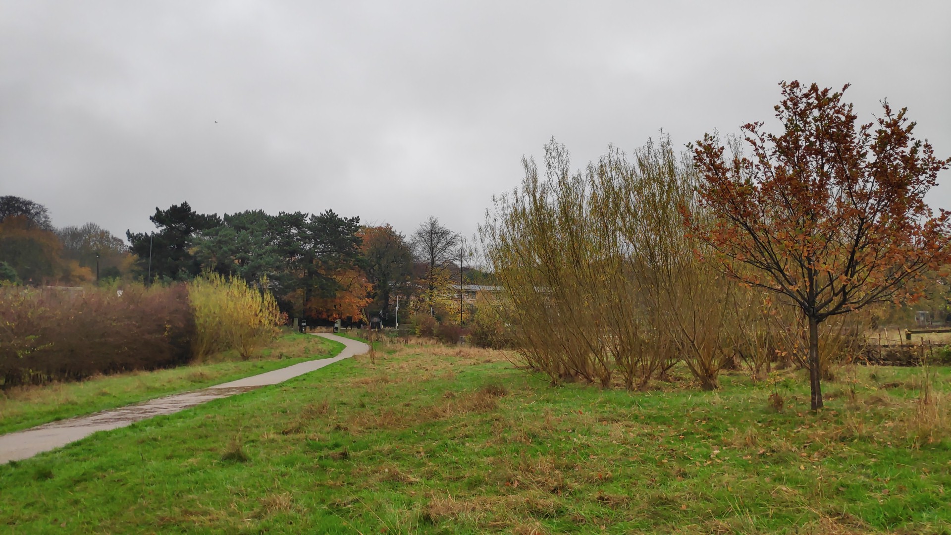Wykebeck Woods and Asket Hill