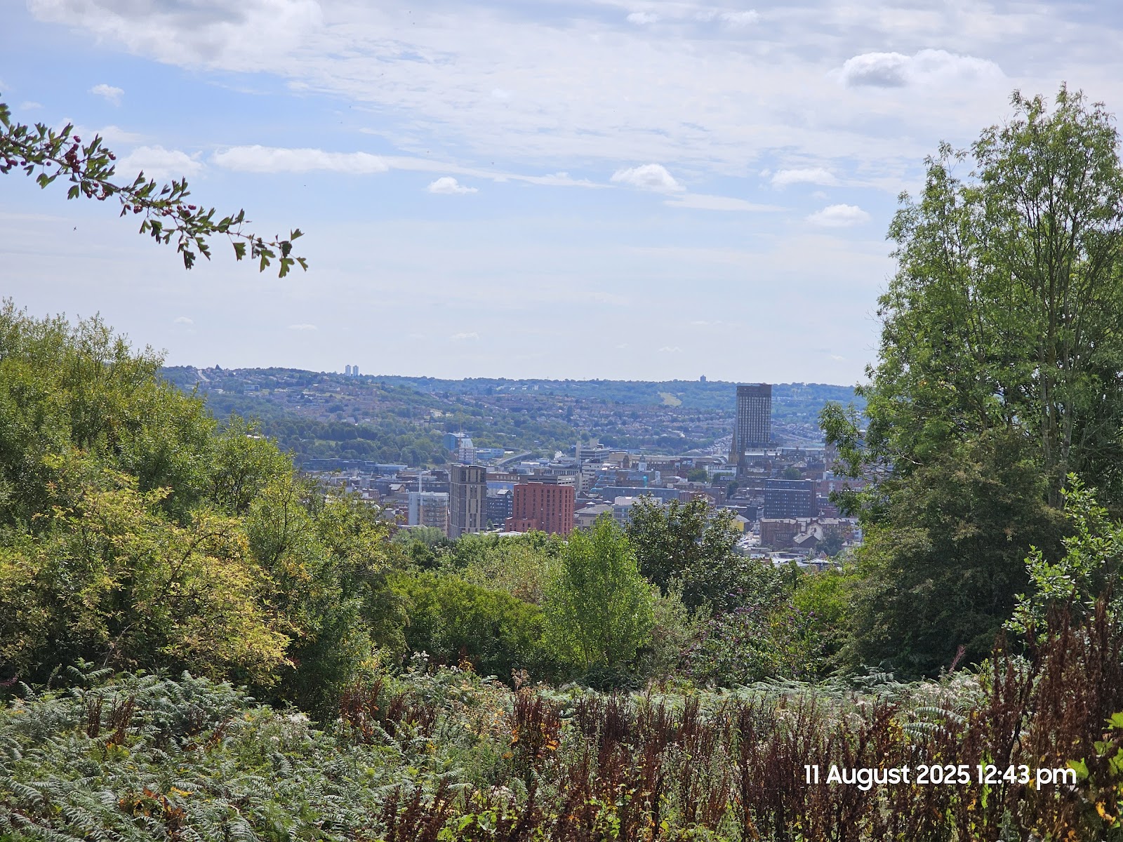 Parkwood Springs Mountain Bike Trail