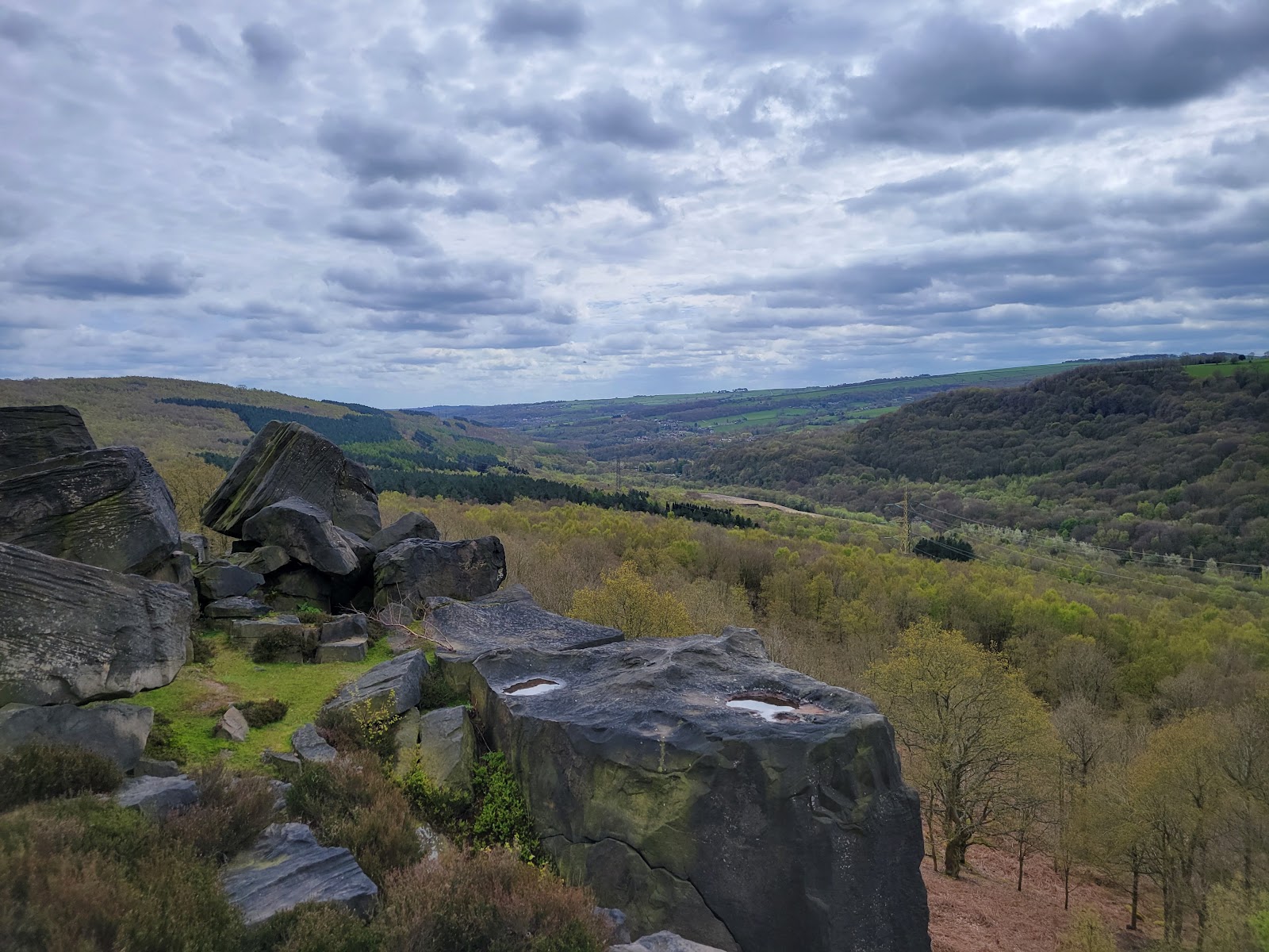 Wharncliffe Wood