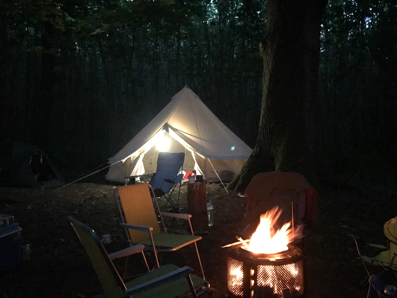 Badgells Wood Camping