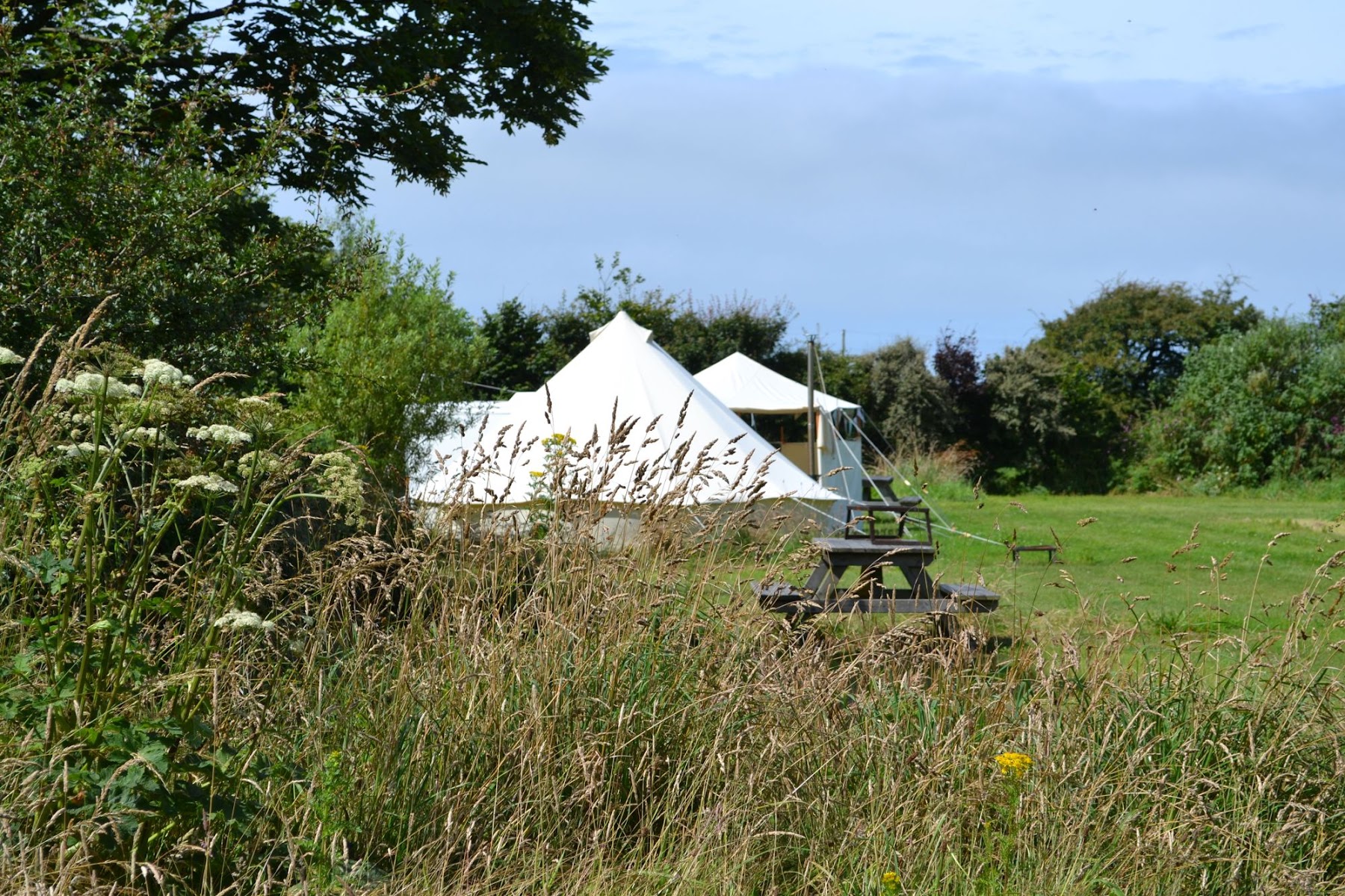 Hipcamp x Cool Camping