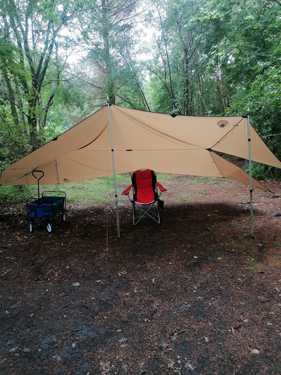 Brockwell Woods Wild Camping at Blaydon Burn Farm