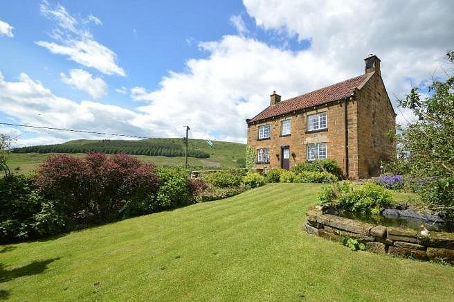 Beak Hills Farm