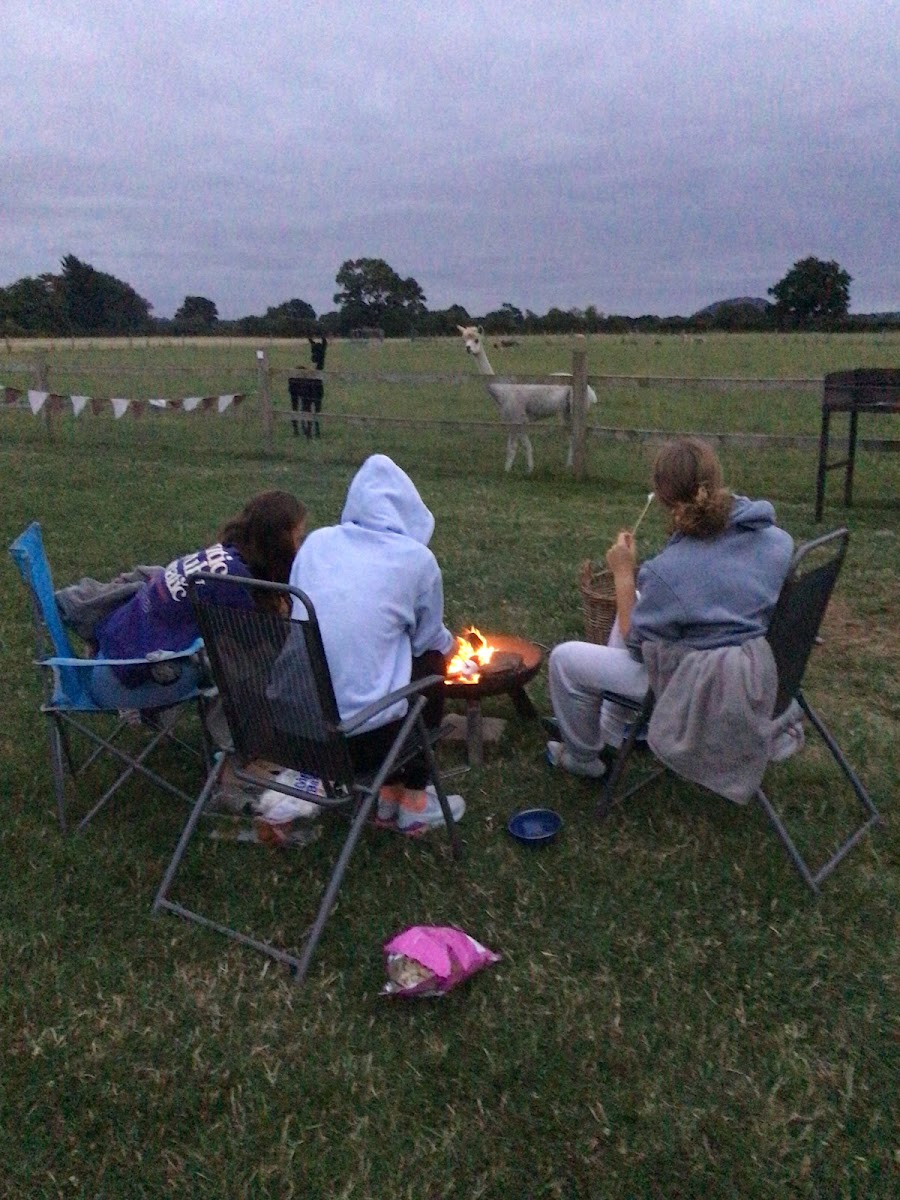 Swallow farm campsite