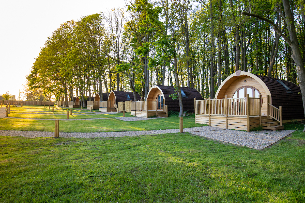 Wighill Park Glamping