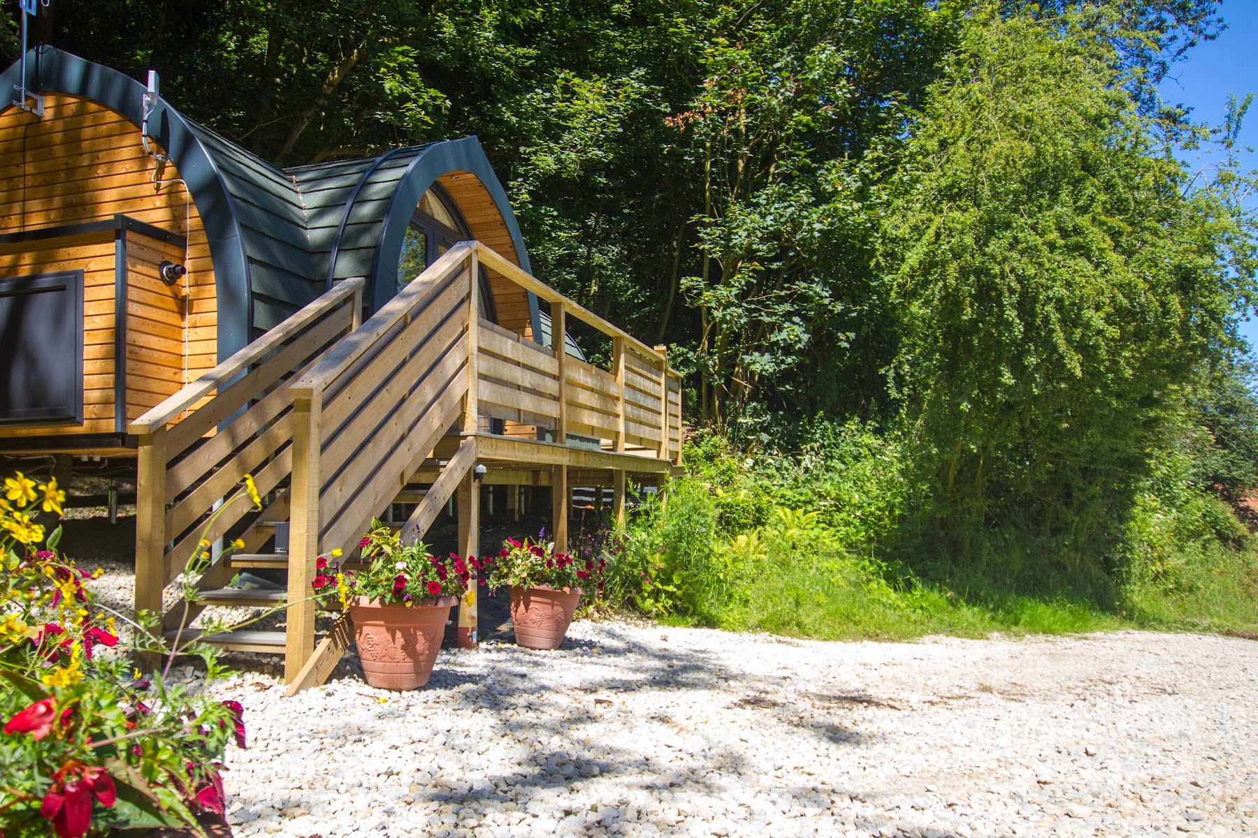 Prospect House Farm Glamping & Camping