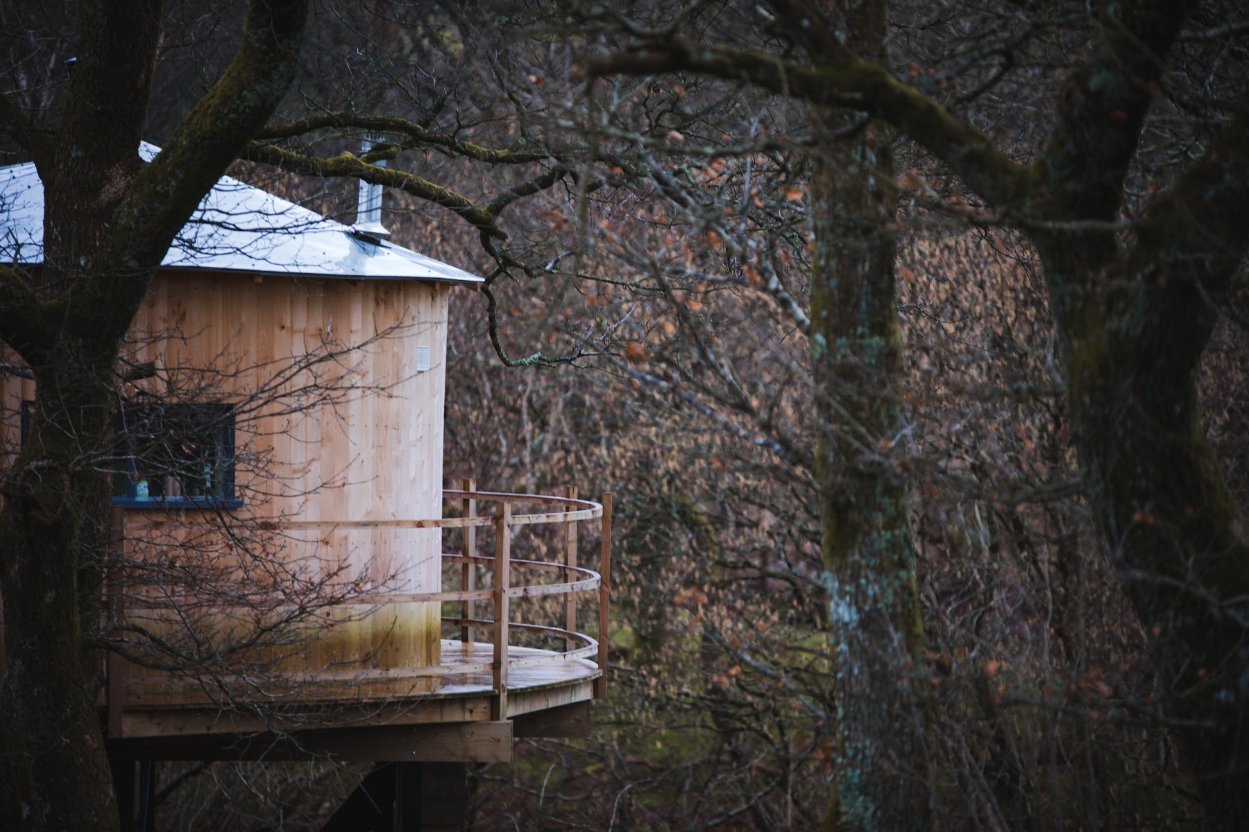 Ty'r Onnen- Wild Welsh Treehouses