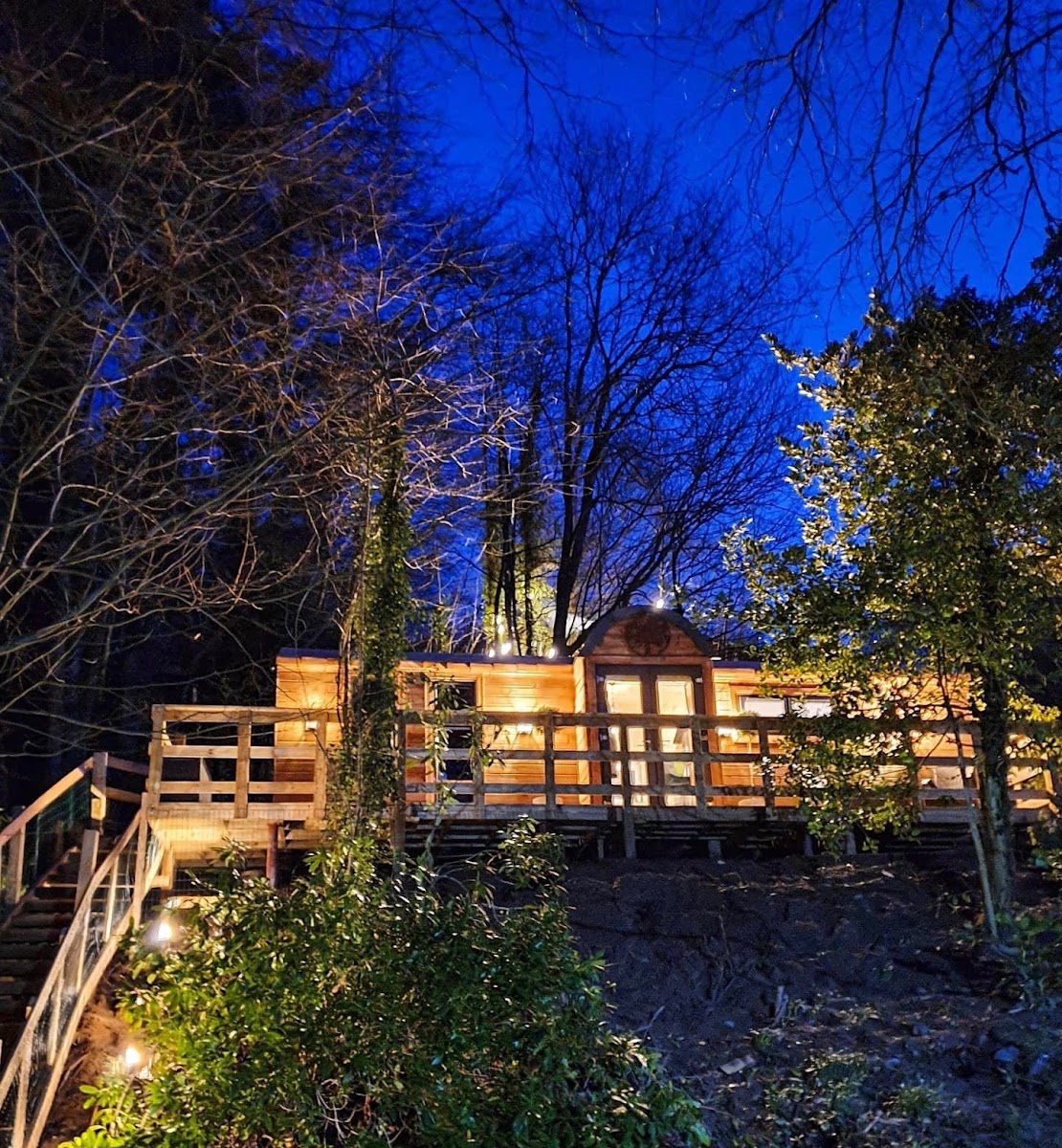 Hidden By The Woods