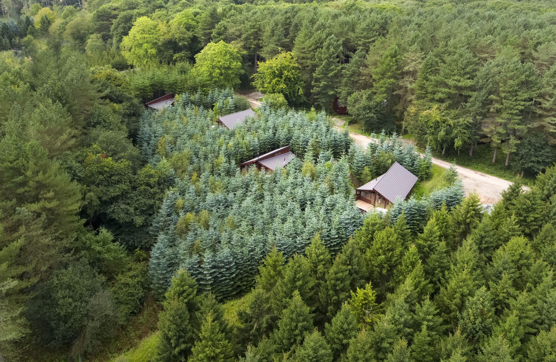Forest Holidays Delamere Forest