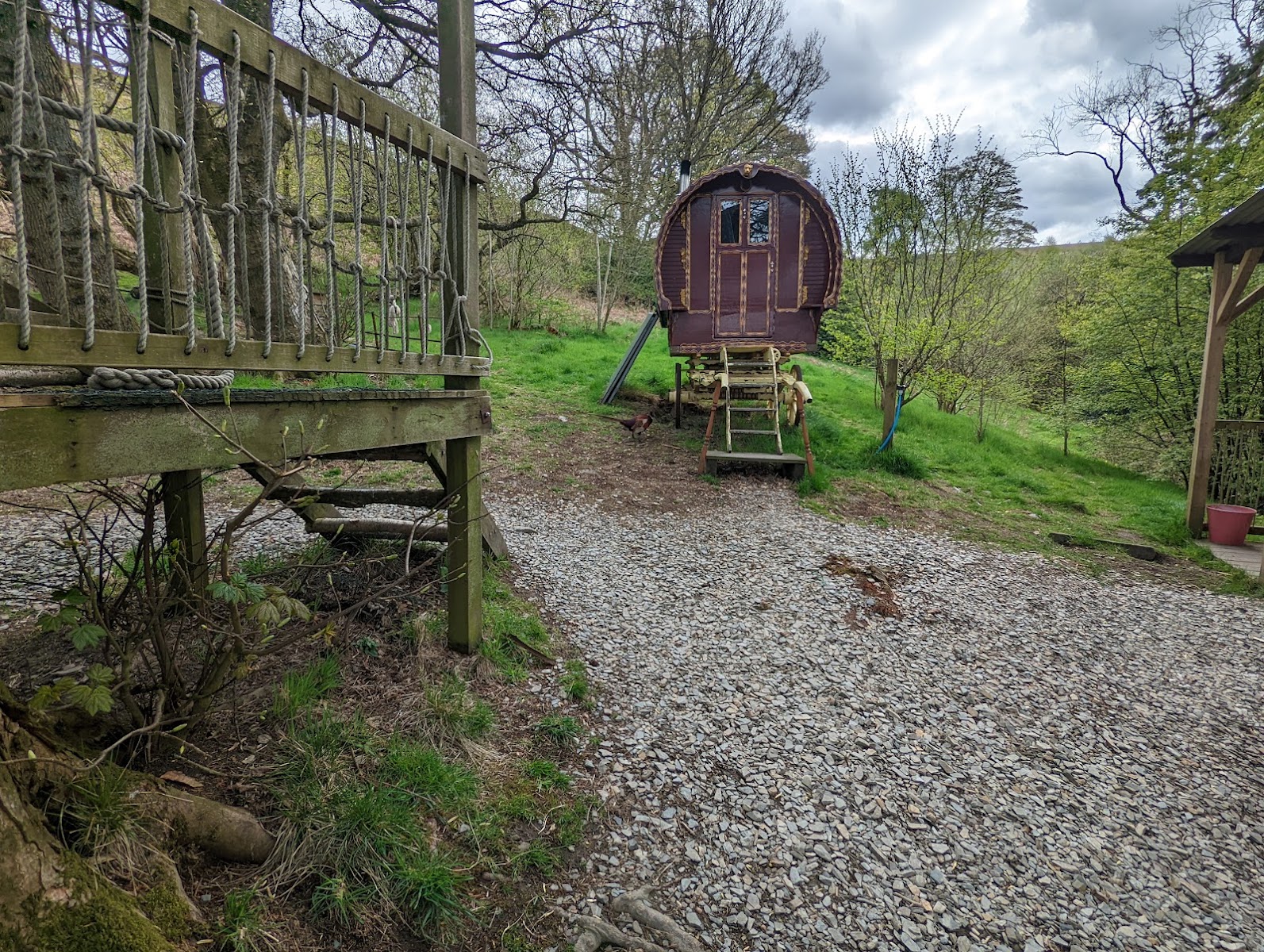 Copse Camp