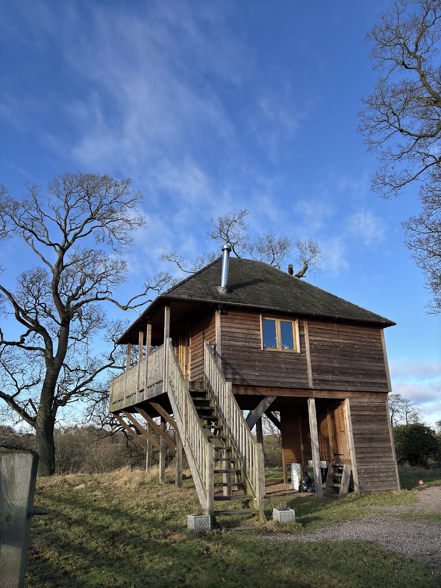 Netherby Treehouse
