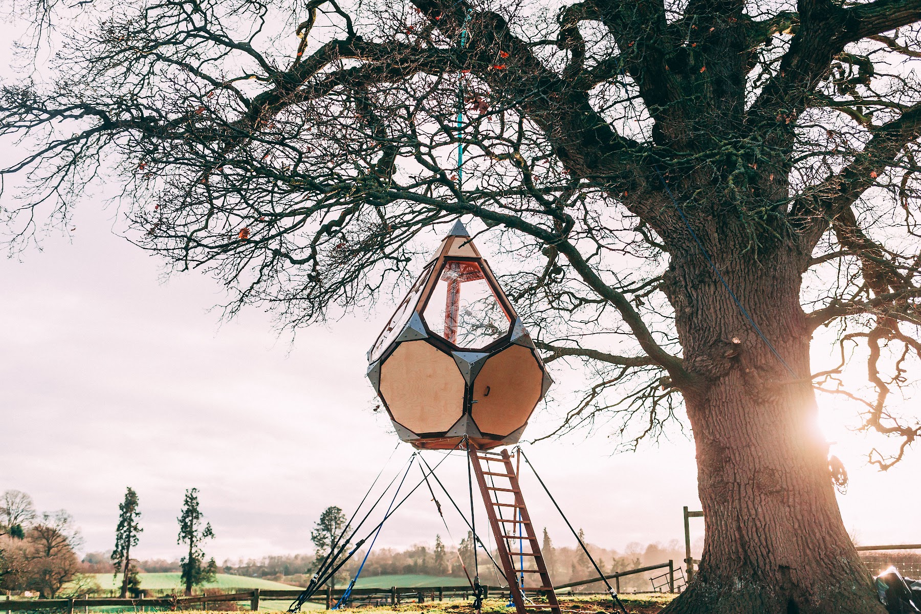 Treetop Co