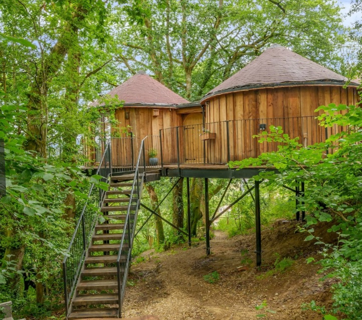 Treehouse In Devon