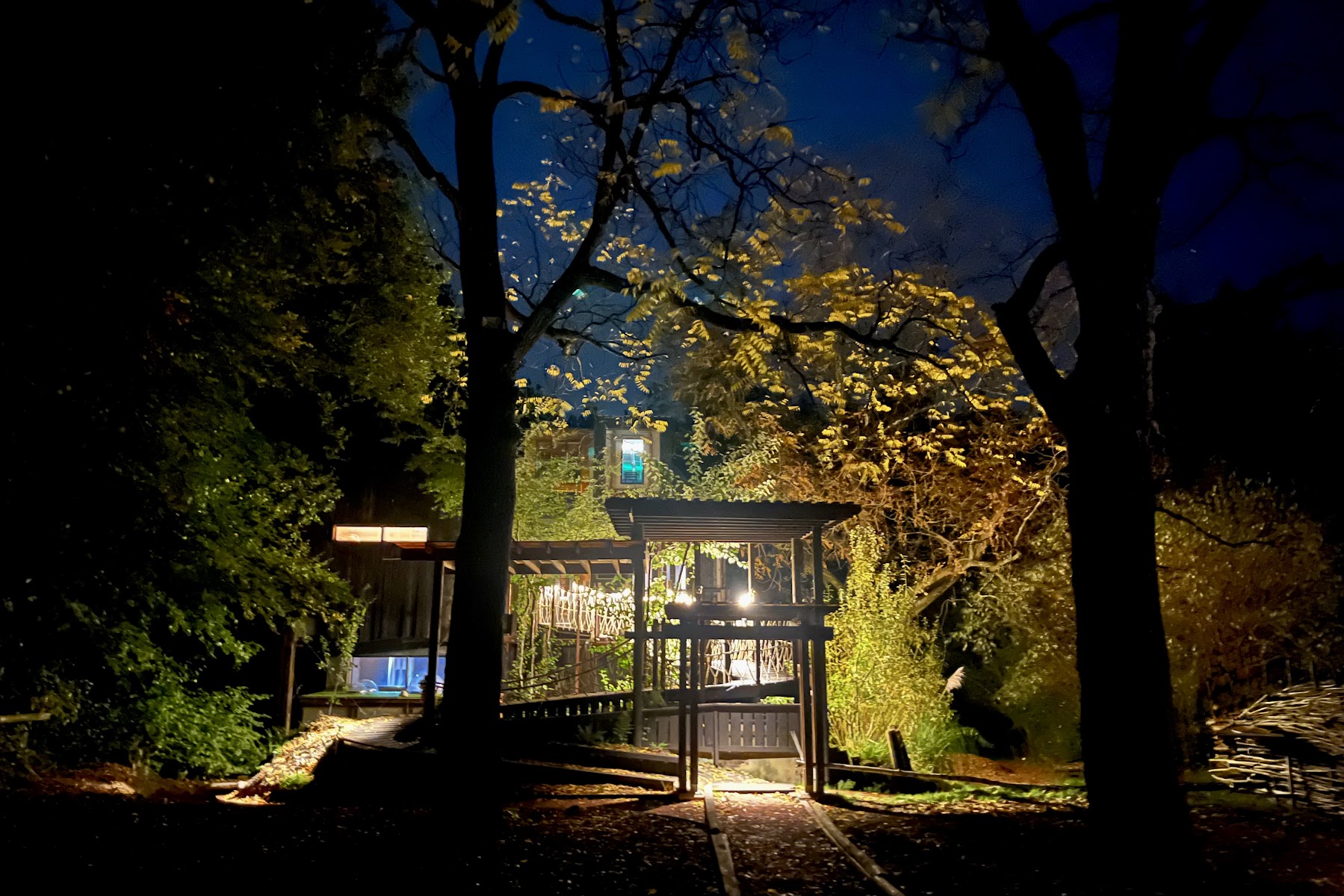 The Zero Project Treehouse