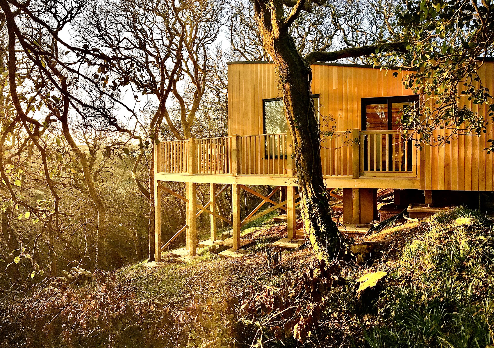 Wrinklers Wood Glamping and Wellness Retreat