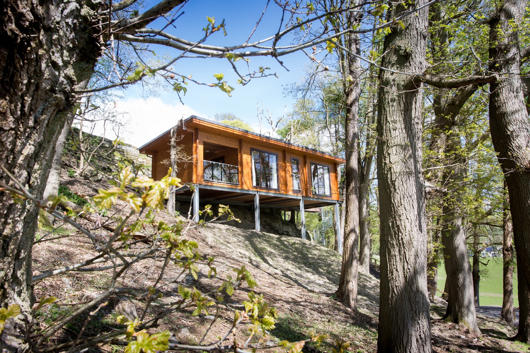 Coed-Y-Glyn Log Cabins