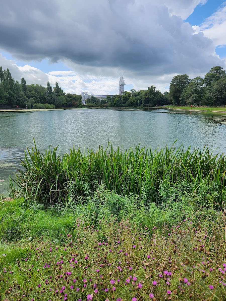 Lifford reservoir