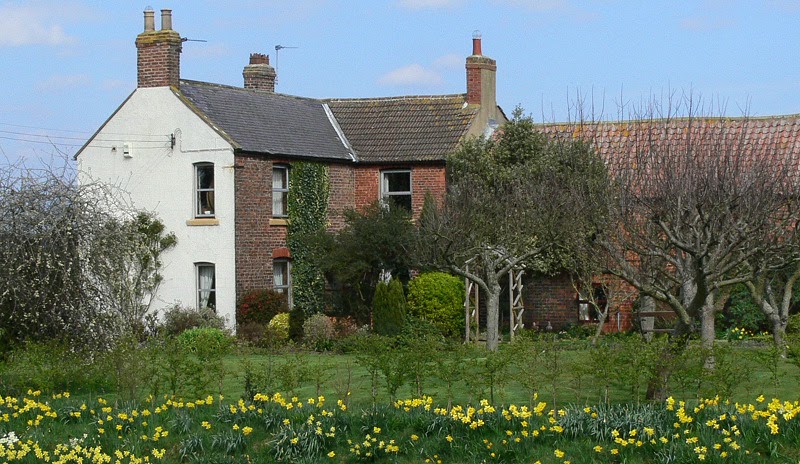 Lovesome Hill Farm