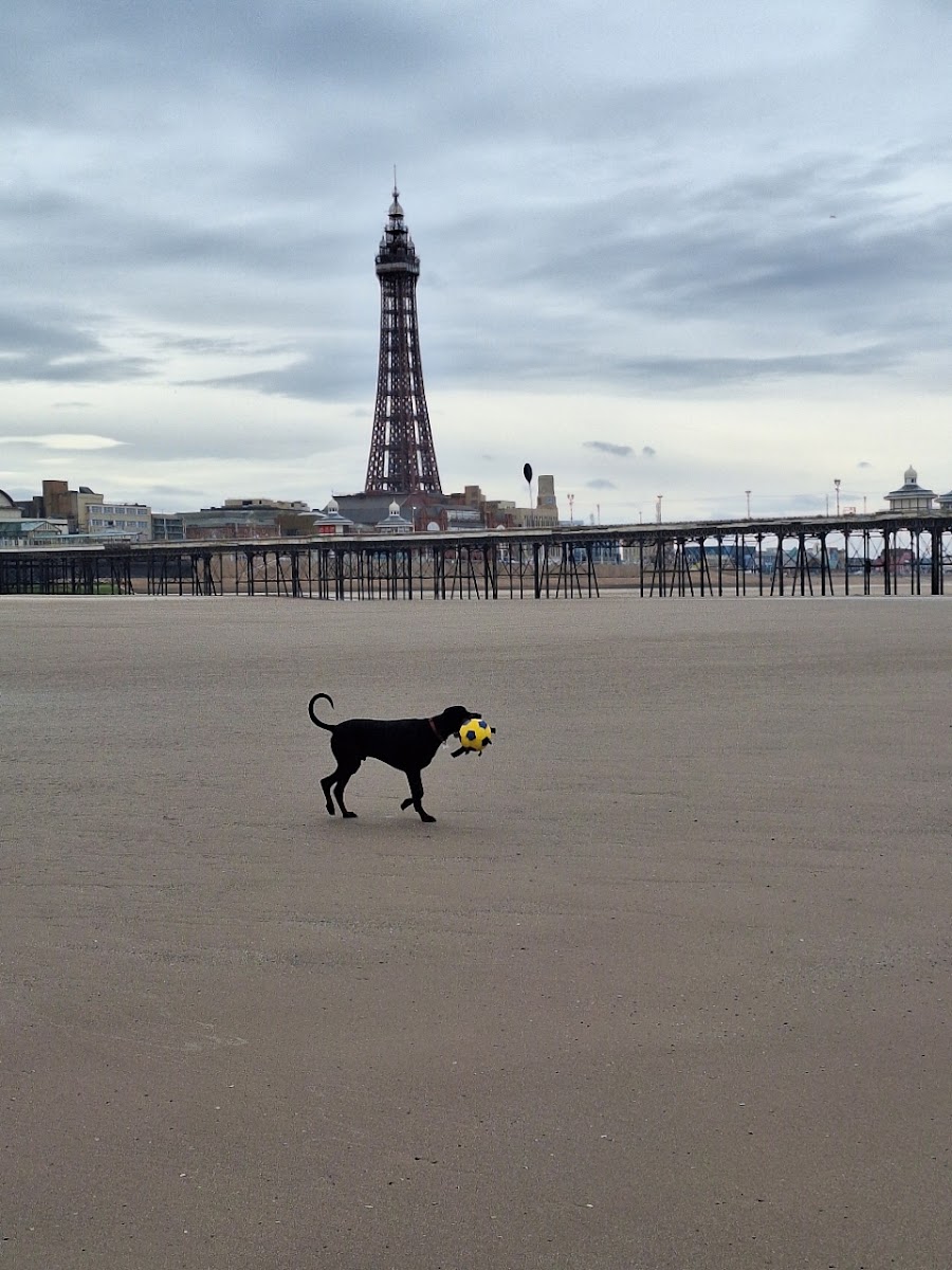 Sunny Dee's Holiday Apartments, from £45.00