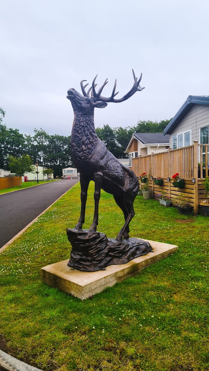 Camelot Holiday Park