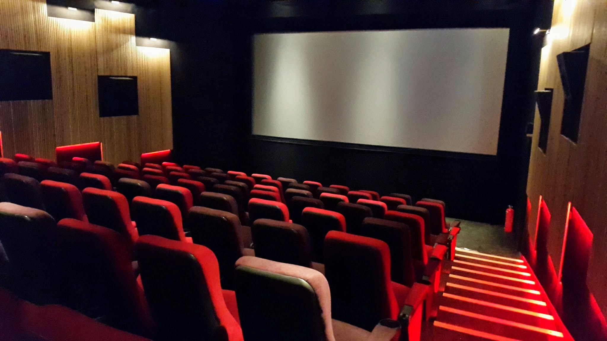 Kino Rye
