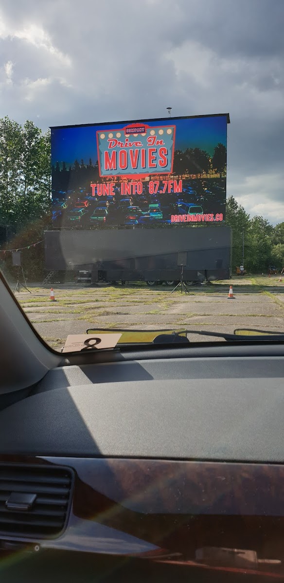 DRIVE IN MOVIES