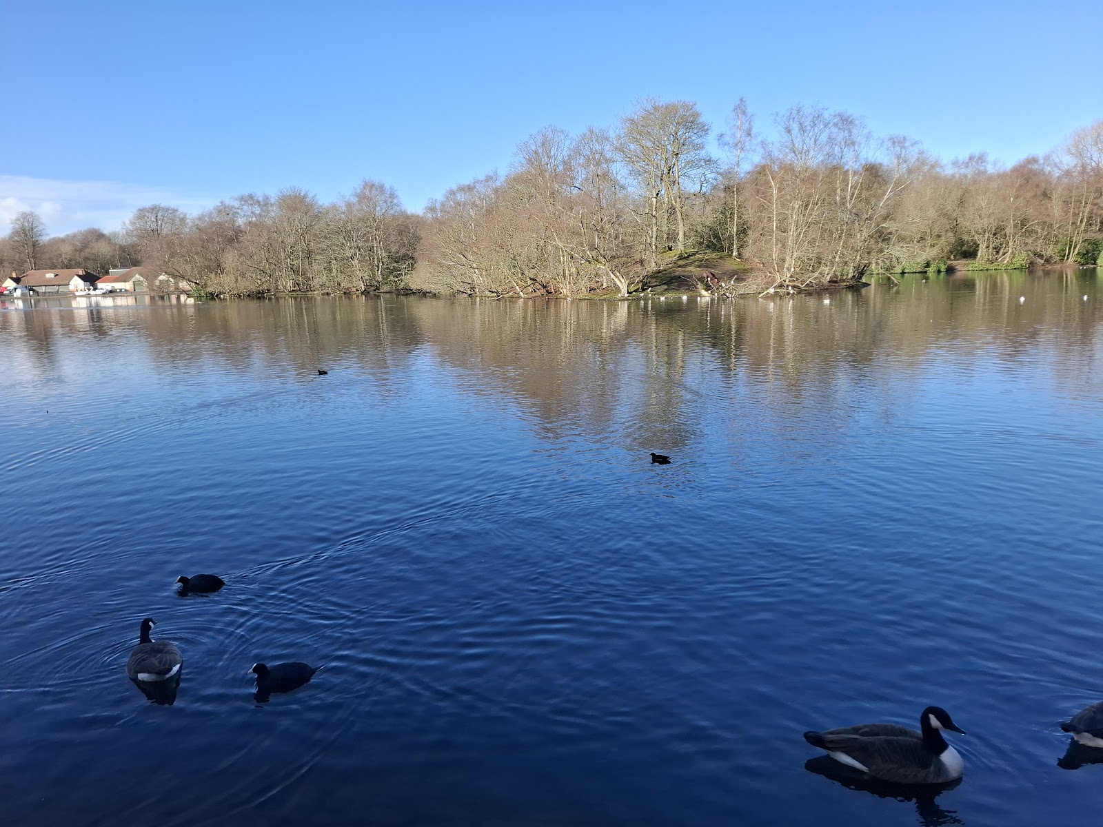 Heaton Park Lido (Remains)