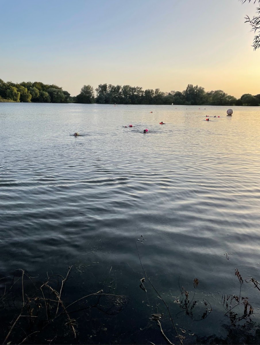 WholeHealth Open Water Swim Village & Sauna