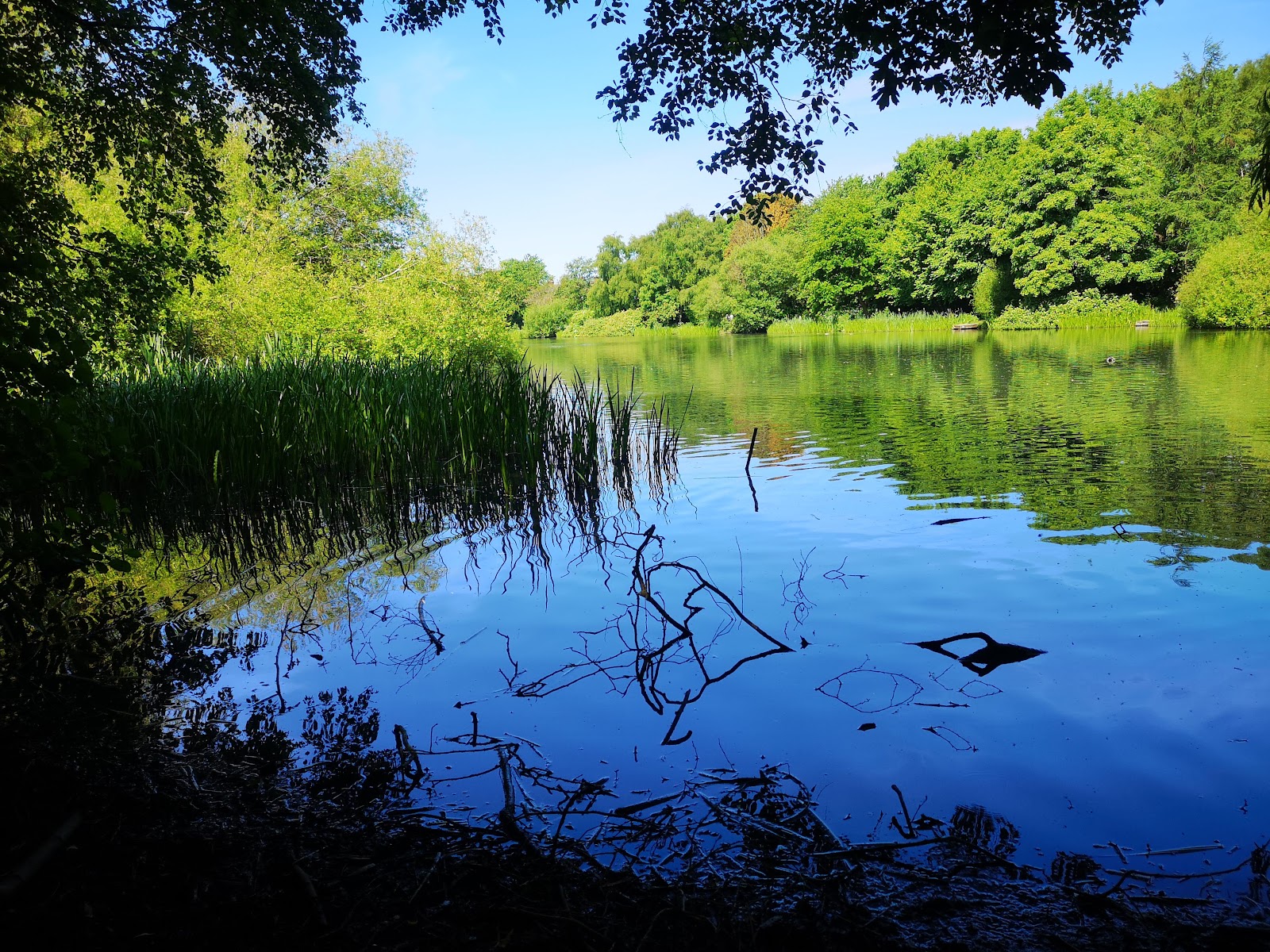 Smith's Pool