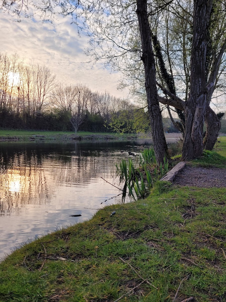 Telford & Wrekin Leisure Services