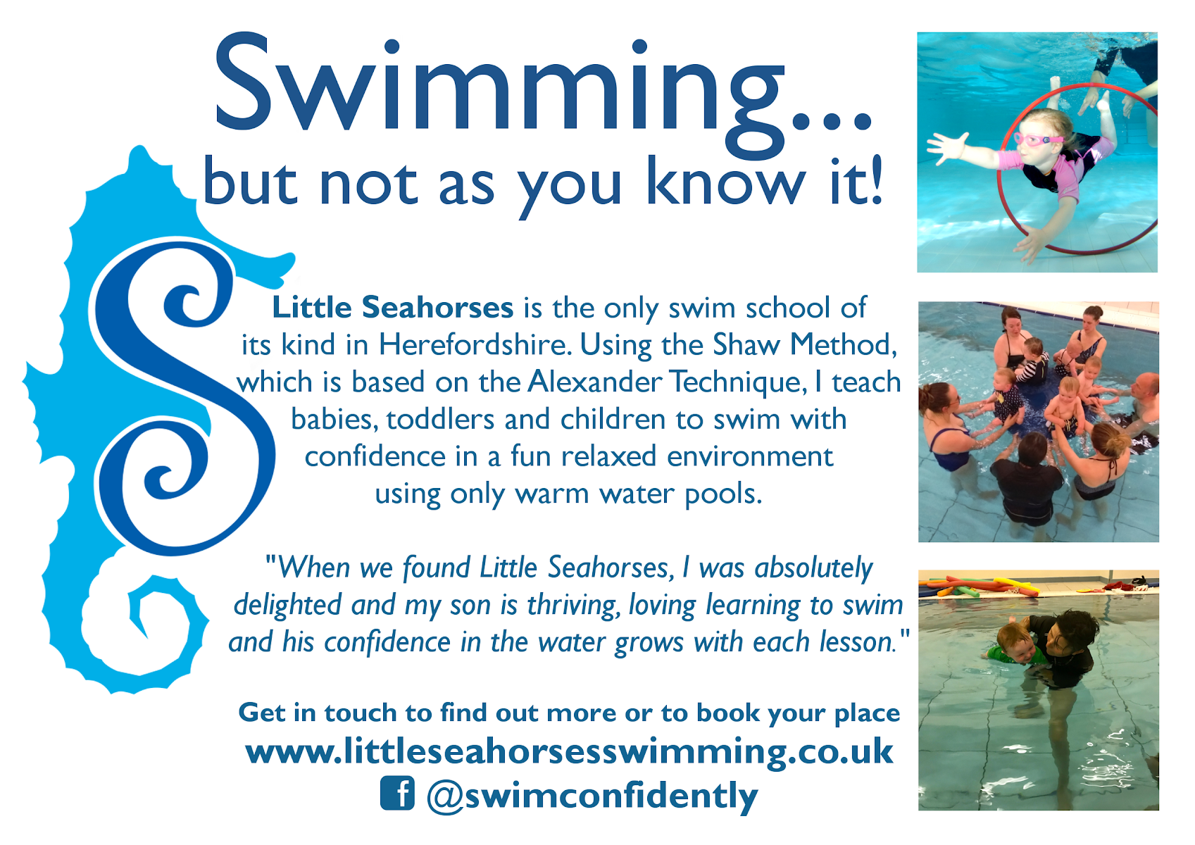 Little Seahorses Swimming UK
