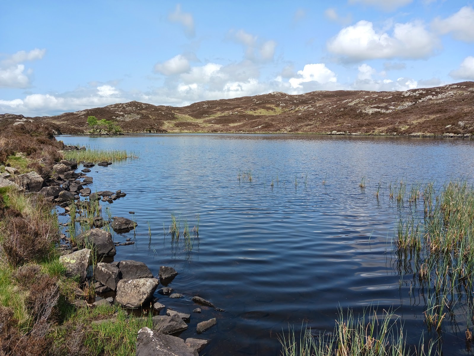 Dock Tarn