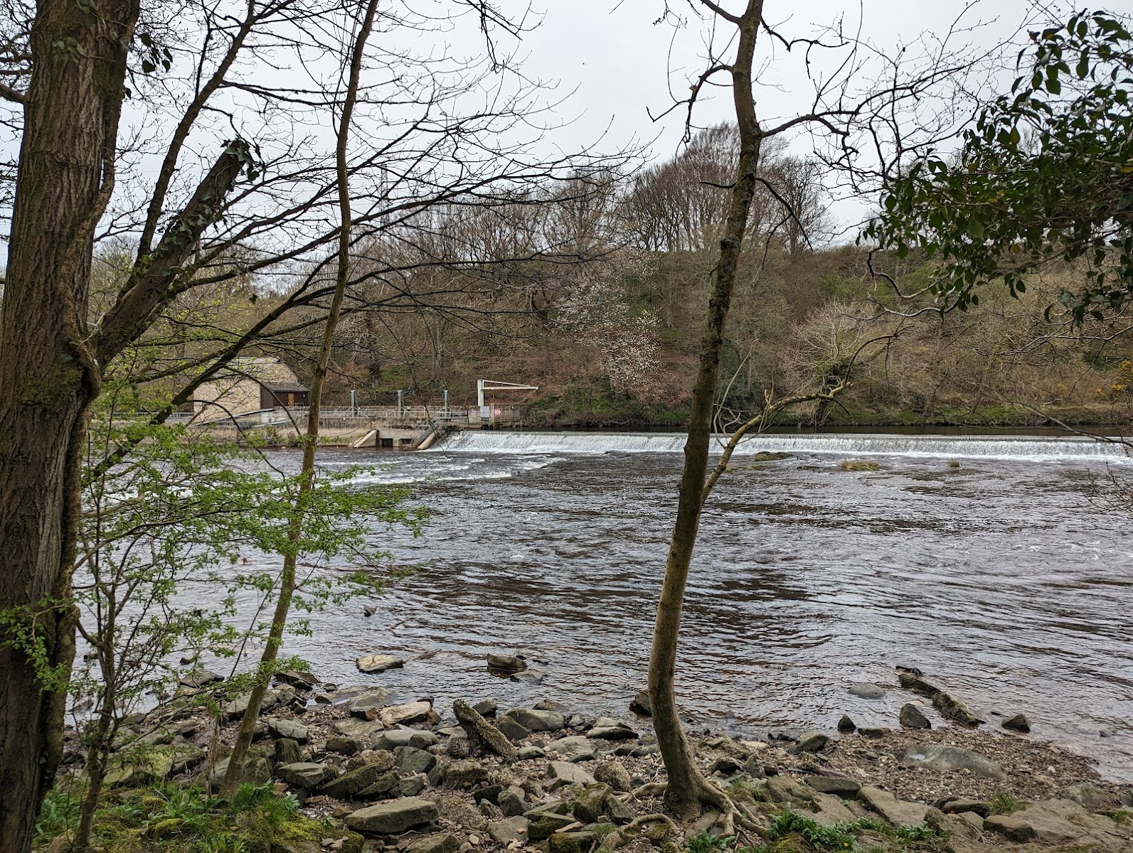 Halton Rapids