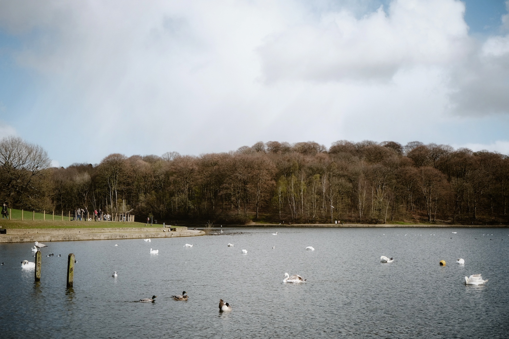 White Rose Canoe Club