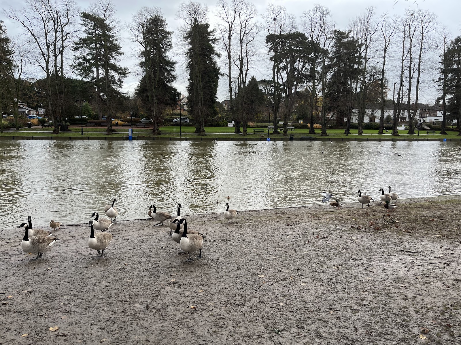 Avon River Activities Abbey Park - Evesham