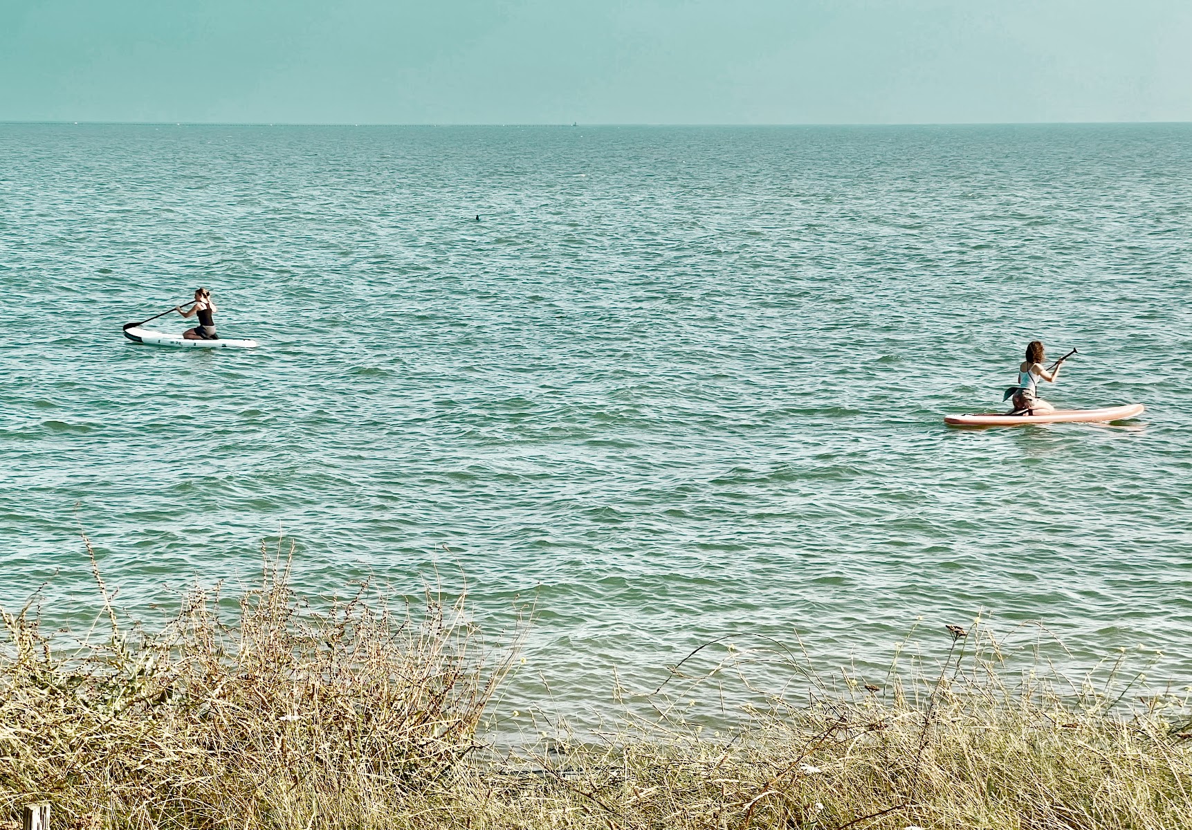 Bluefin Paddle Boards & Kayaks