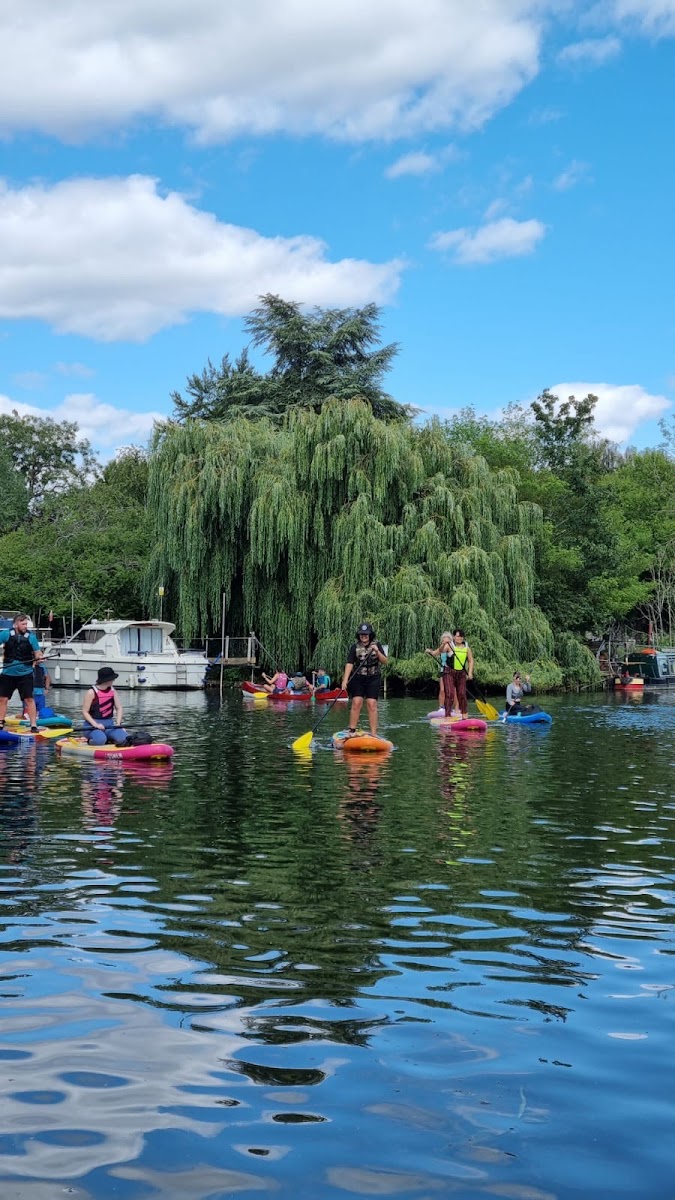 Blue Lemon Paddleboarding