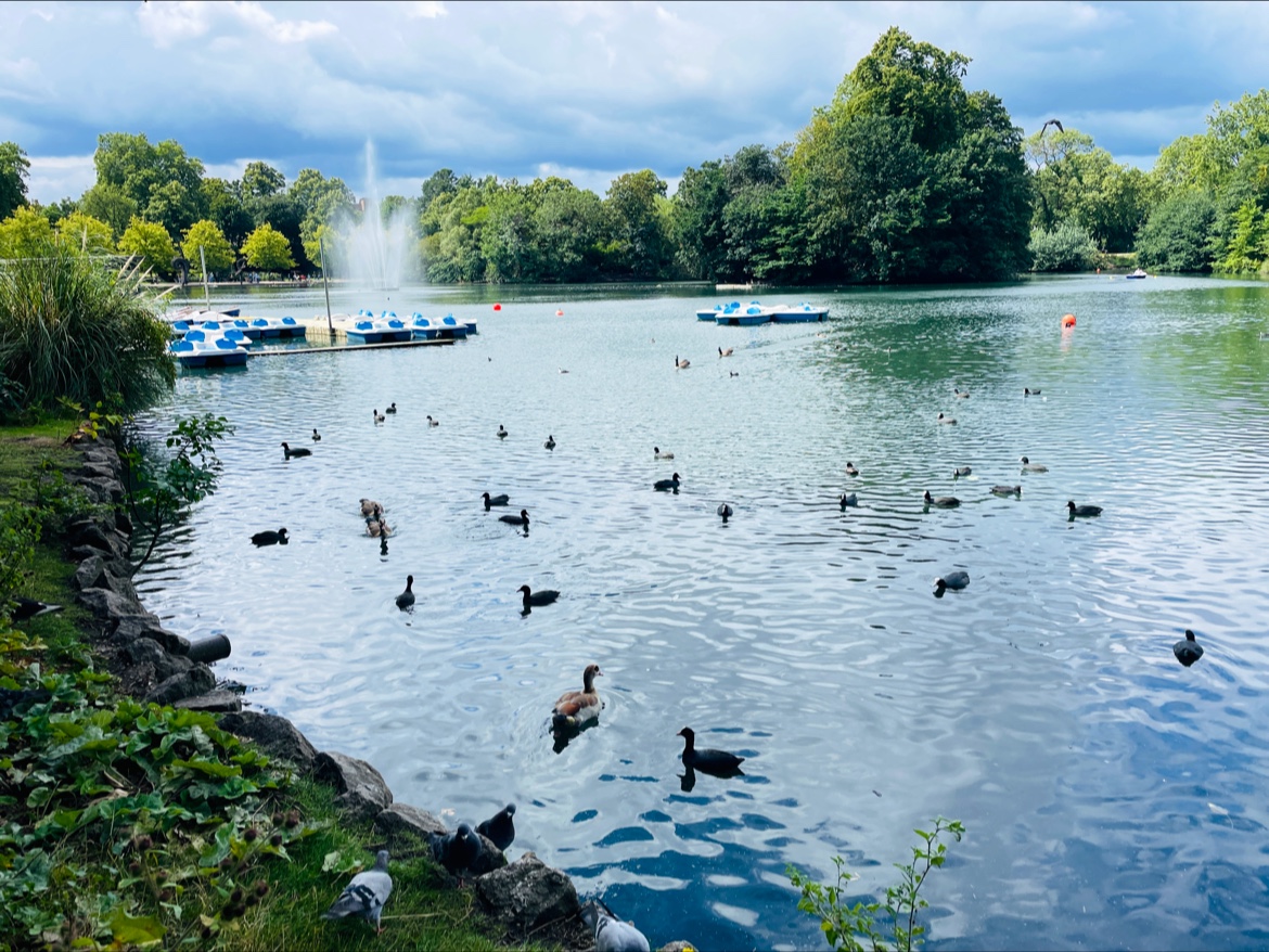 Victoria Park Boat Hire
