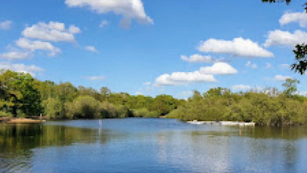 Hollow Ponds Row Boat Hire