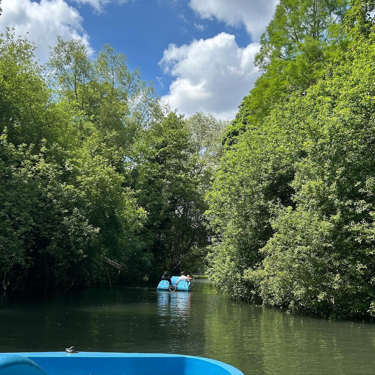 Bluebird Boats